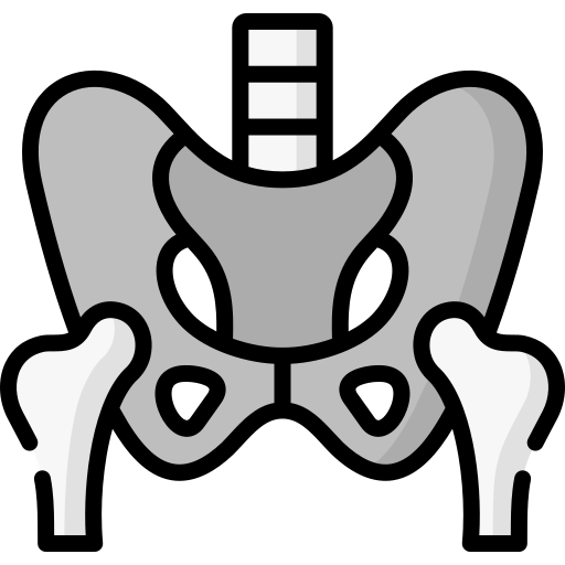 Mobility & Stability