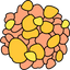 Boswellia Serrata