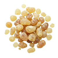 Boswellia Serrata : Cartilage Protector