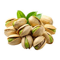 Choline : Cognitive Enhancer