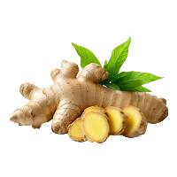 Ginger : Digestive Aid