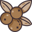 Triphala