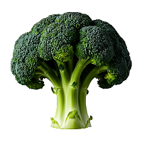 L-Methyl Folate : Growth & Repair