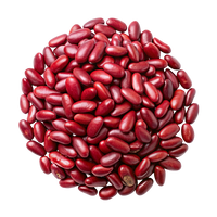 Methyl Sulphonyl Methane (MSM) : Cartilage Preservation