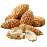 Magnesium : Bone density