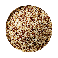 Phosphorus : Energy for Bones