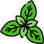 Tulsi Extract