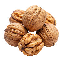 Vitamin B6 : Bone Health Support