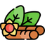 KSM-66 Ashwagandha