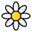 Chamomile Extract