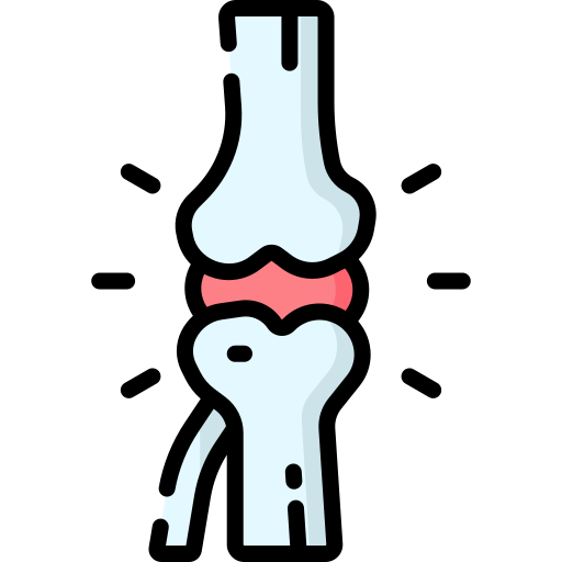 Supports cartilage