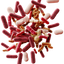 Probiotics (Lactobacillus)